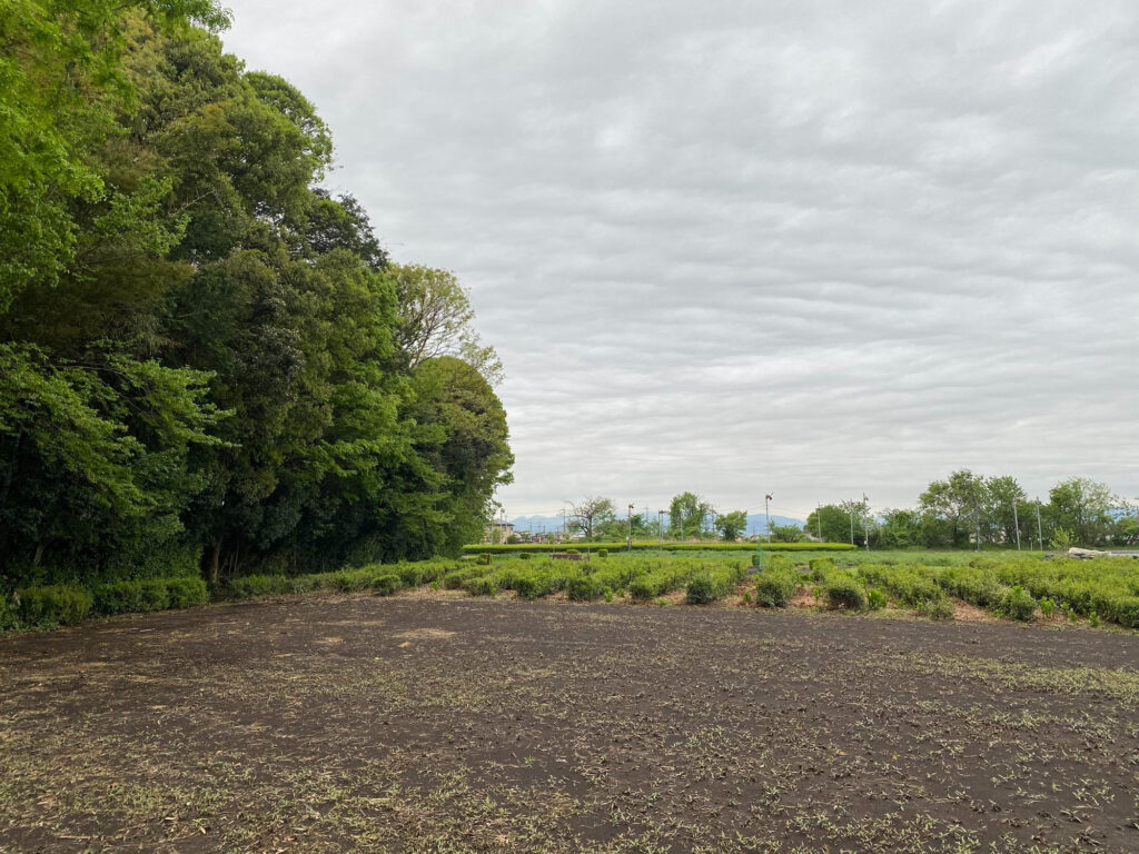 How to Sell Land with Tax Liens: A Complete Guide