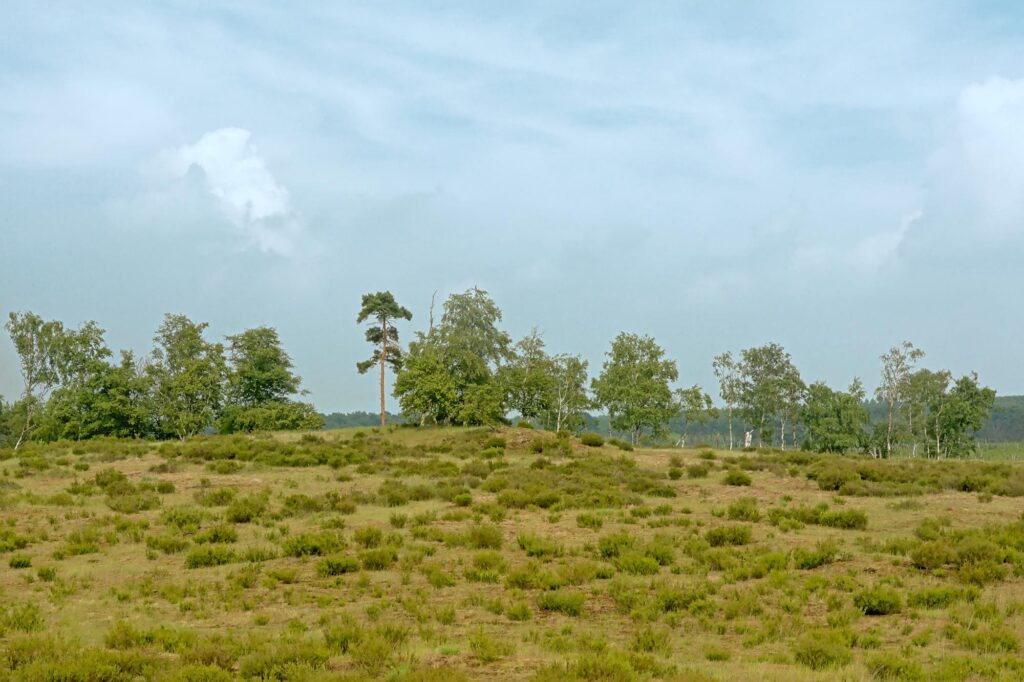 How to Sell Inherited Land in Oklahoma: A Complete Guide