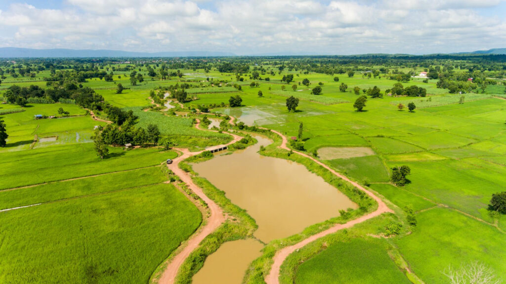 Texas Land Market Trends: What Sellers Need to Know