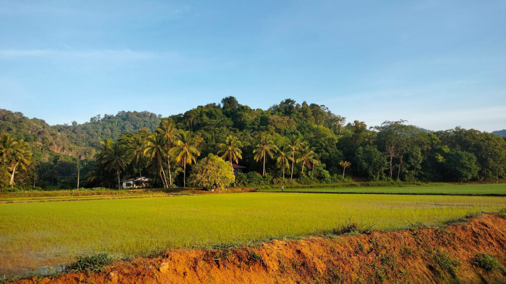 How to Sell Inherited Land in Arkansas: A Complete Guide