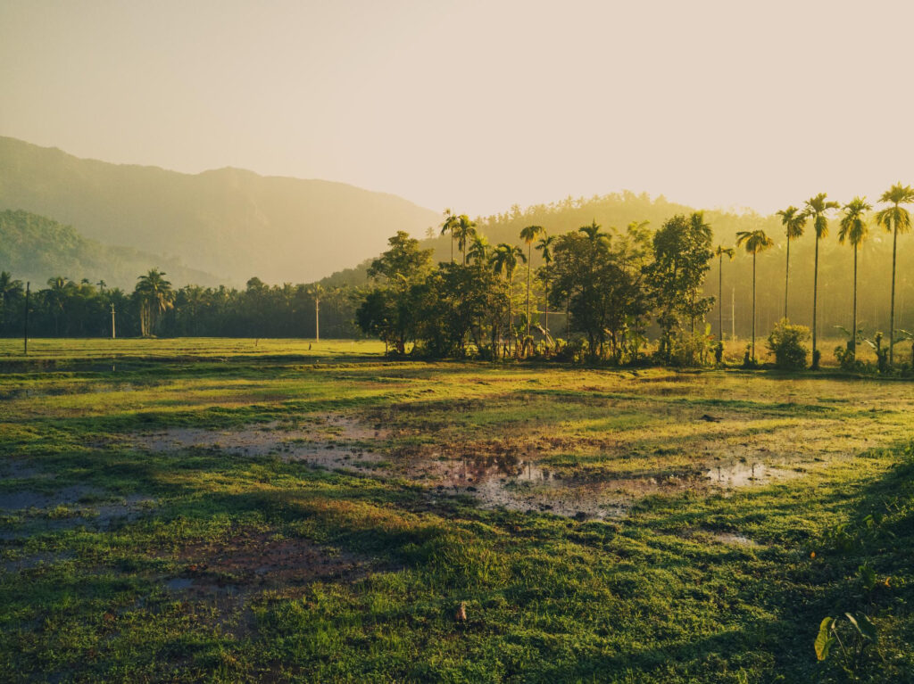 Common Title Issues and How We Handle Them