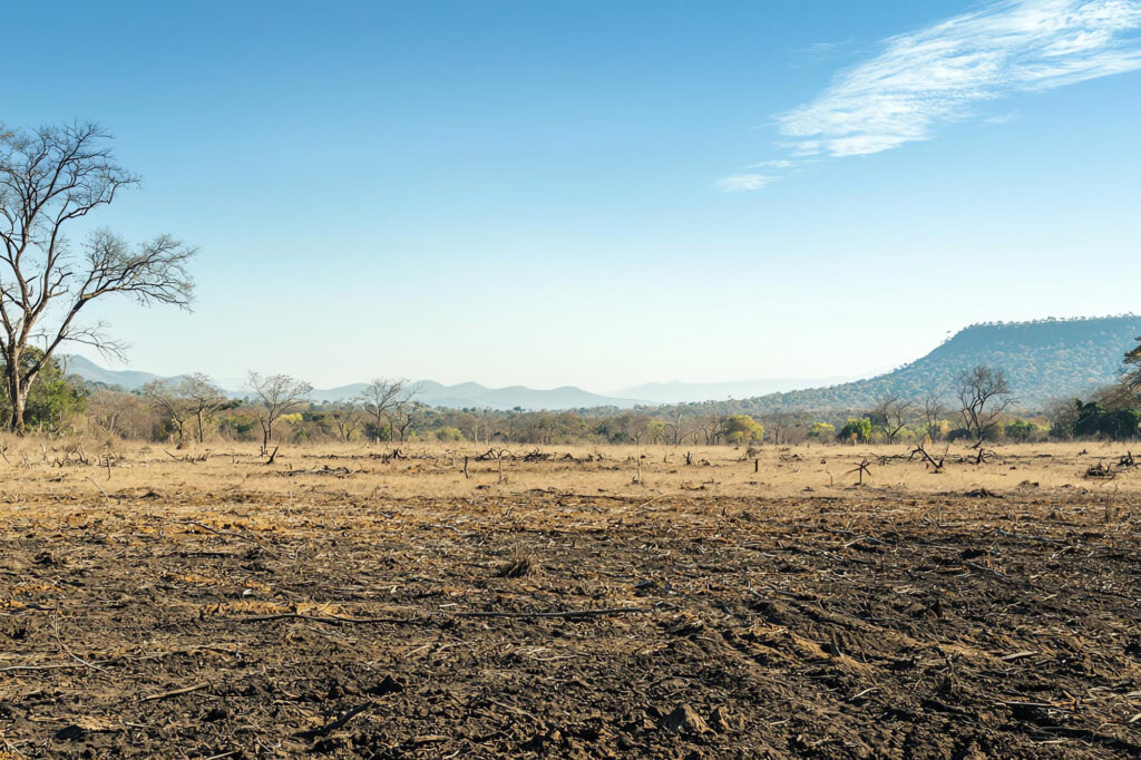 How to Sell Landlocked Property: A Complete Guide