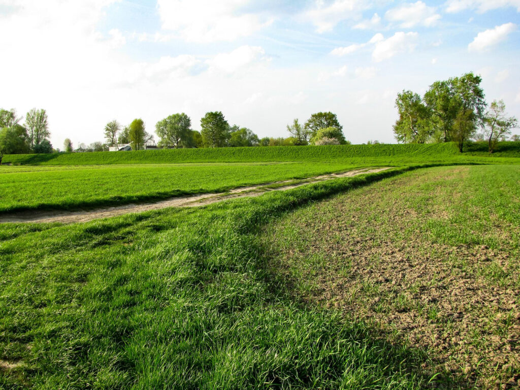 Capital Gains Tax on Land Sales: What Sellers Should Know