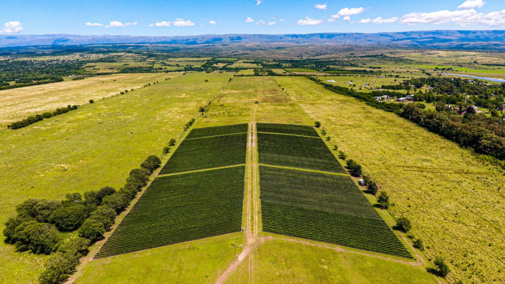 Understanding Property Taxes When Selling Land in Texas