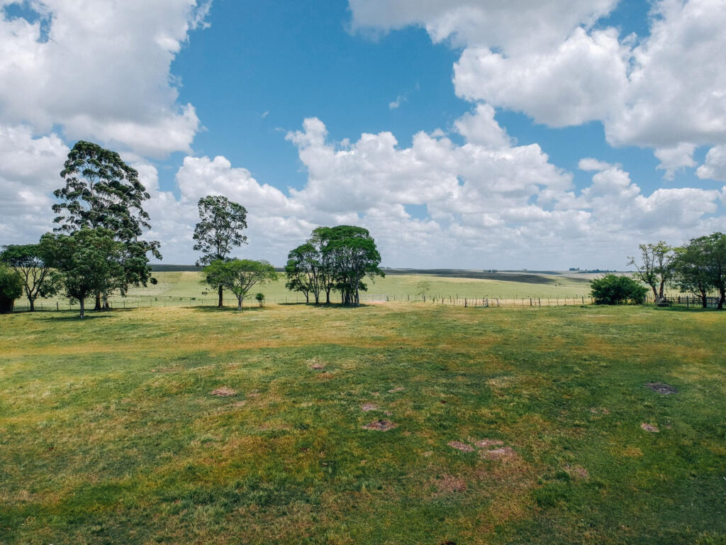 Understanding Property Taxes When Selling Land in Arkansas