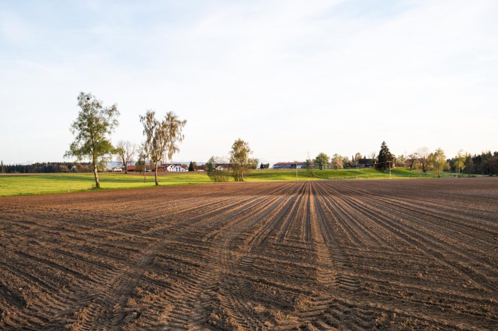 What Happens to Land When There’s No Will? Understanding Intestate Succession