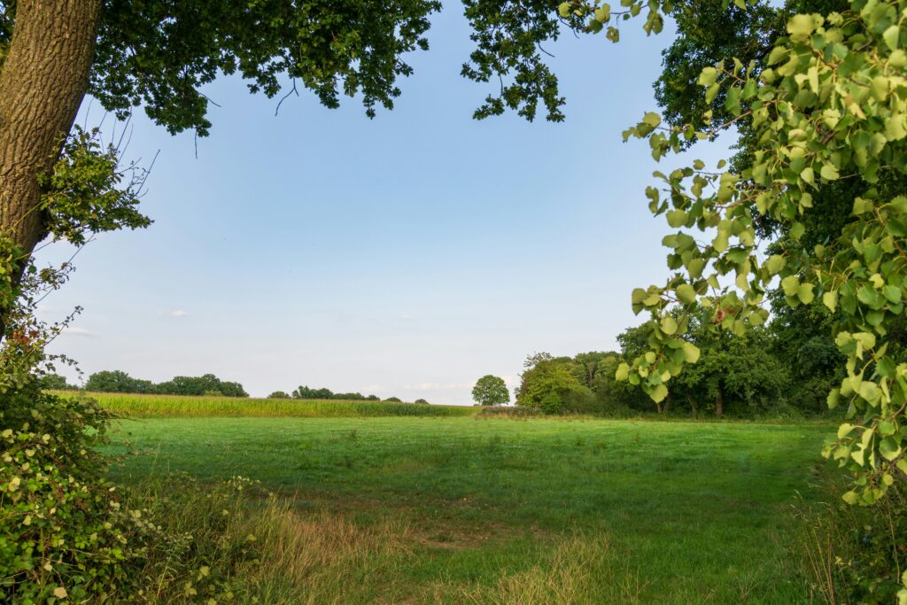 How to Sell Inherited Land in Texas