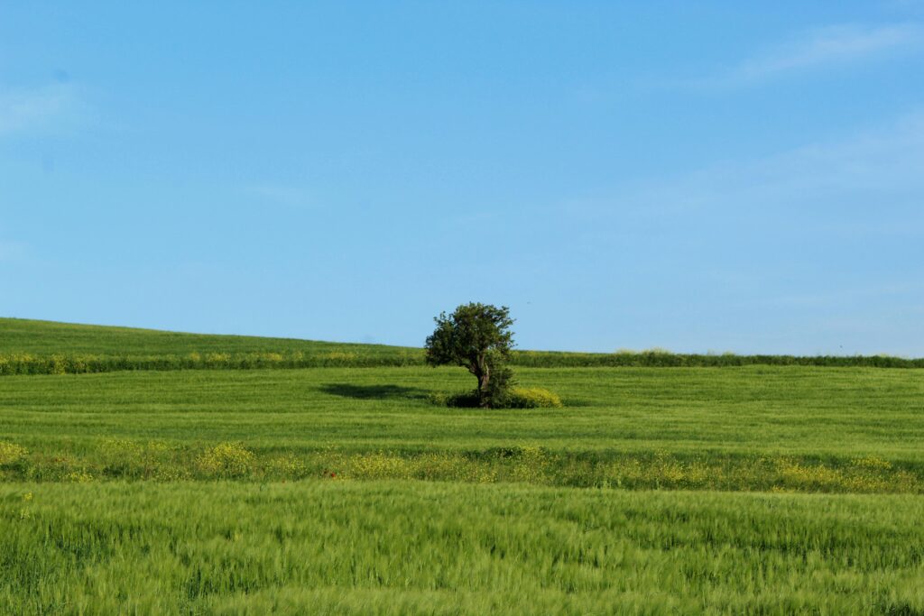 5 Reasons Landowners Choose Cash Buyers Over Real Estate Agents